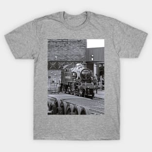 Resting In The Yard T-Shirt